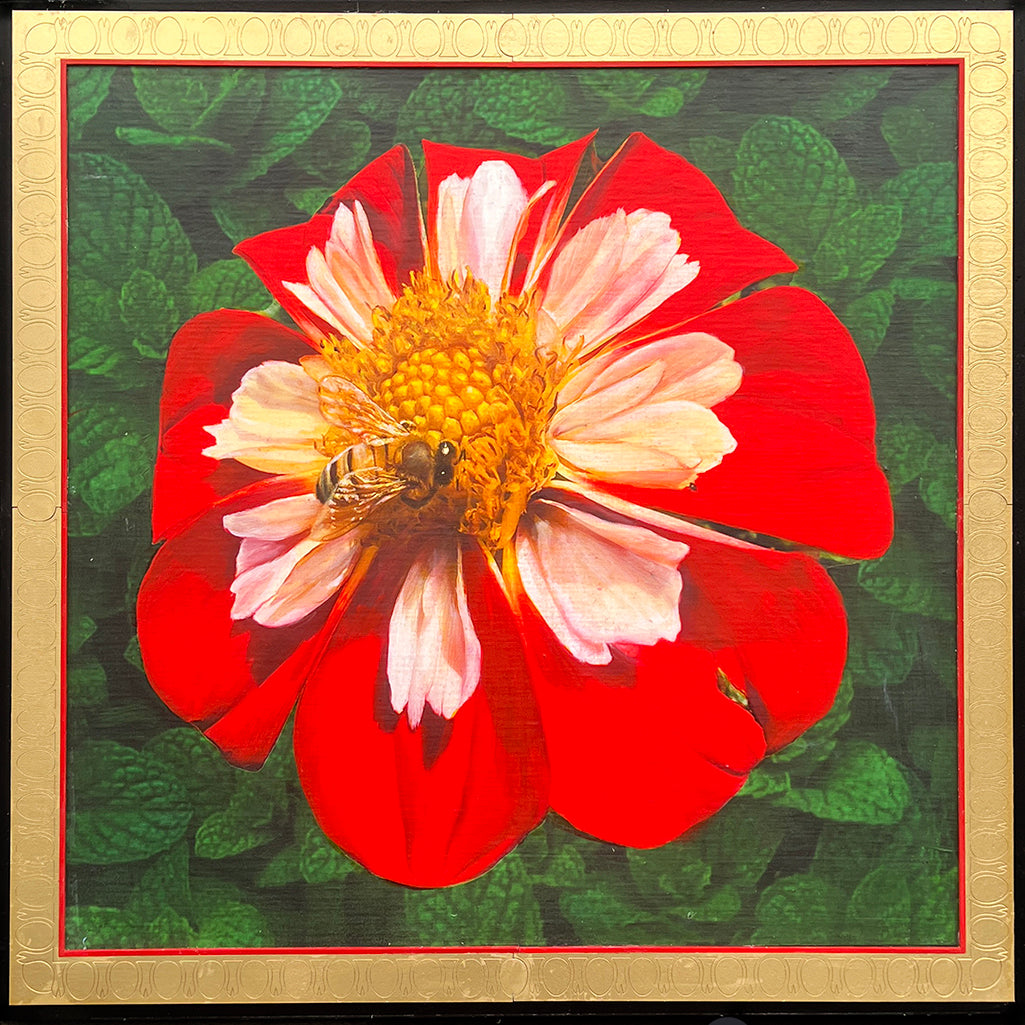 Bee Dahlia