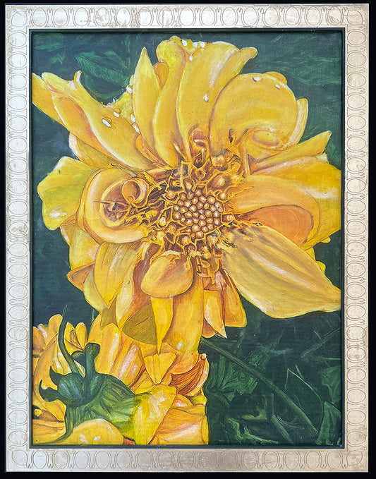 Dahlia