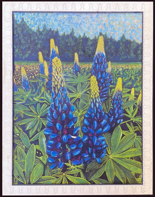 Lupines