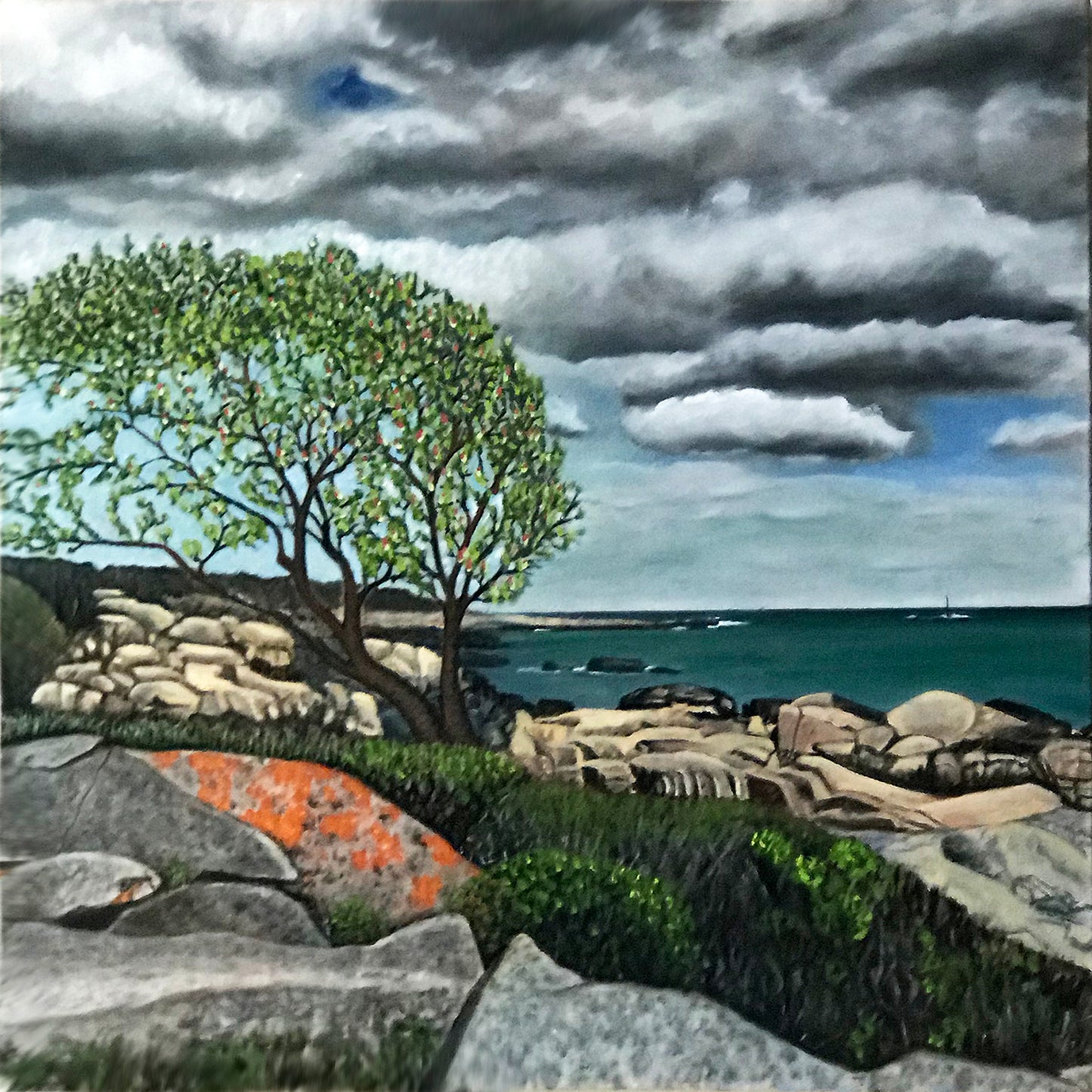 Apple Blossoms - Biddeford Pool - Maine.....oil on linen - 24" x 24" - 2020