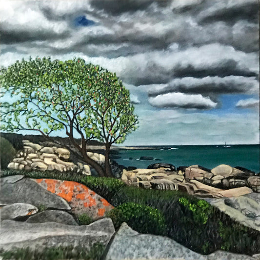 Apple Blossoms - Biddeford Pool - Maine.....oil on linen - 24" x 24" - 2020