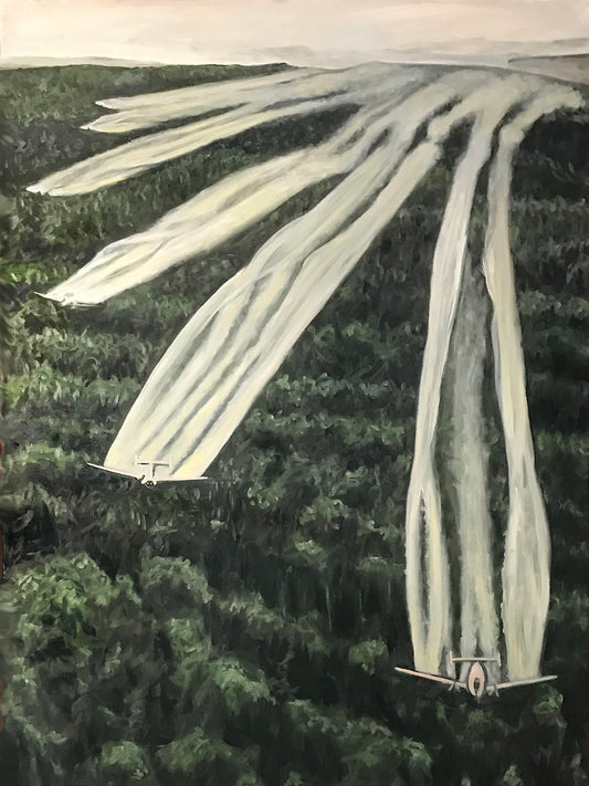 Battling Spruce Budworm