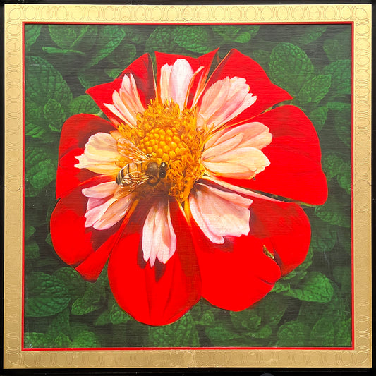 Bee Dahlia