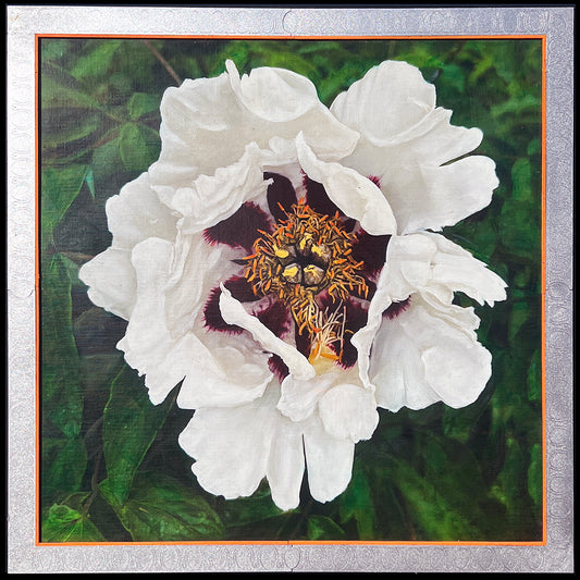 Peony
